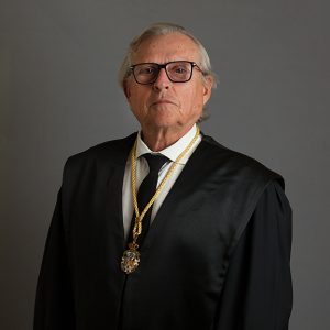 Ilmo. Sr. D. Diego Javier Liñán Nogueras